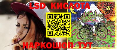 Альфа ПВП Донецк