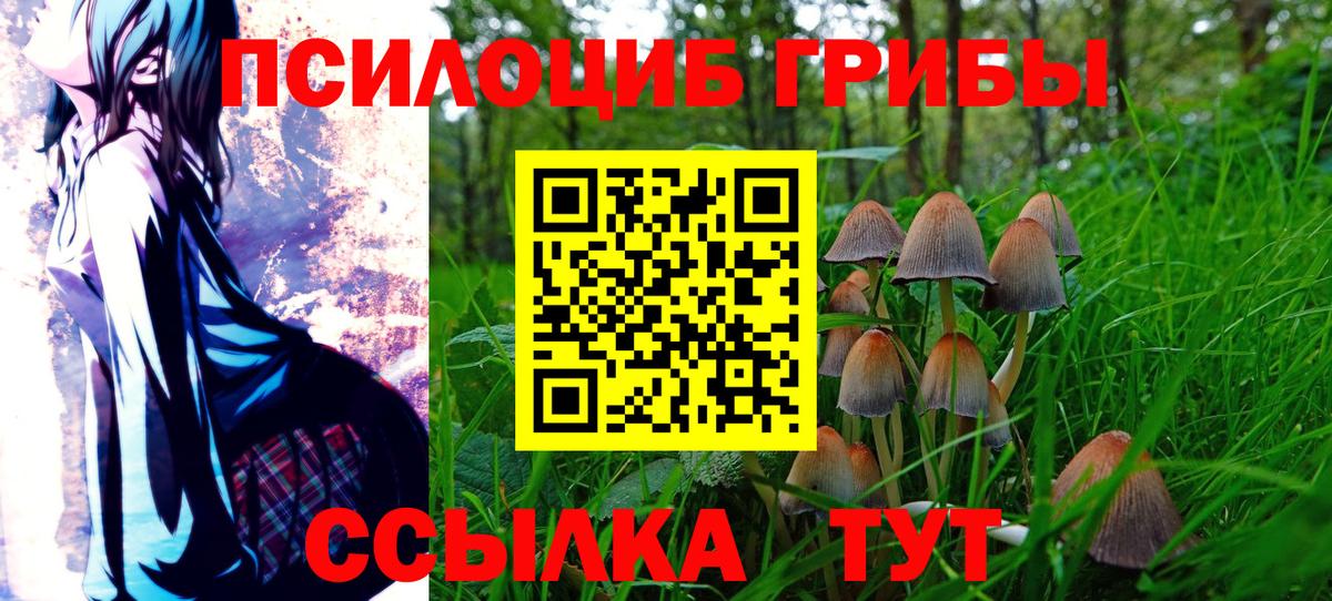 Муром  Галлюциногенные грибы Magic Shrooms  Вход с VPN  Псилоцибиновые грибы Cubensis 